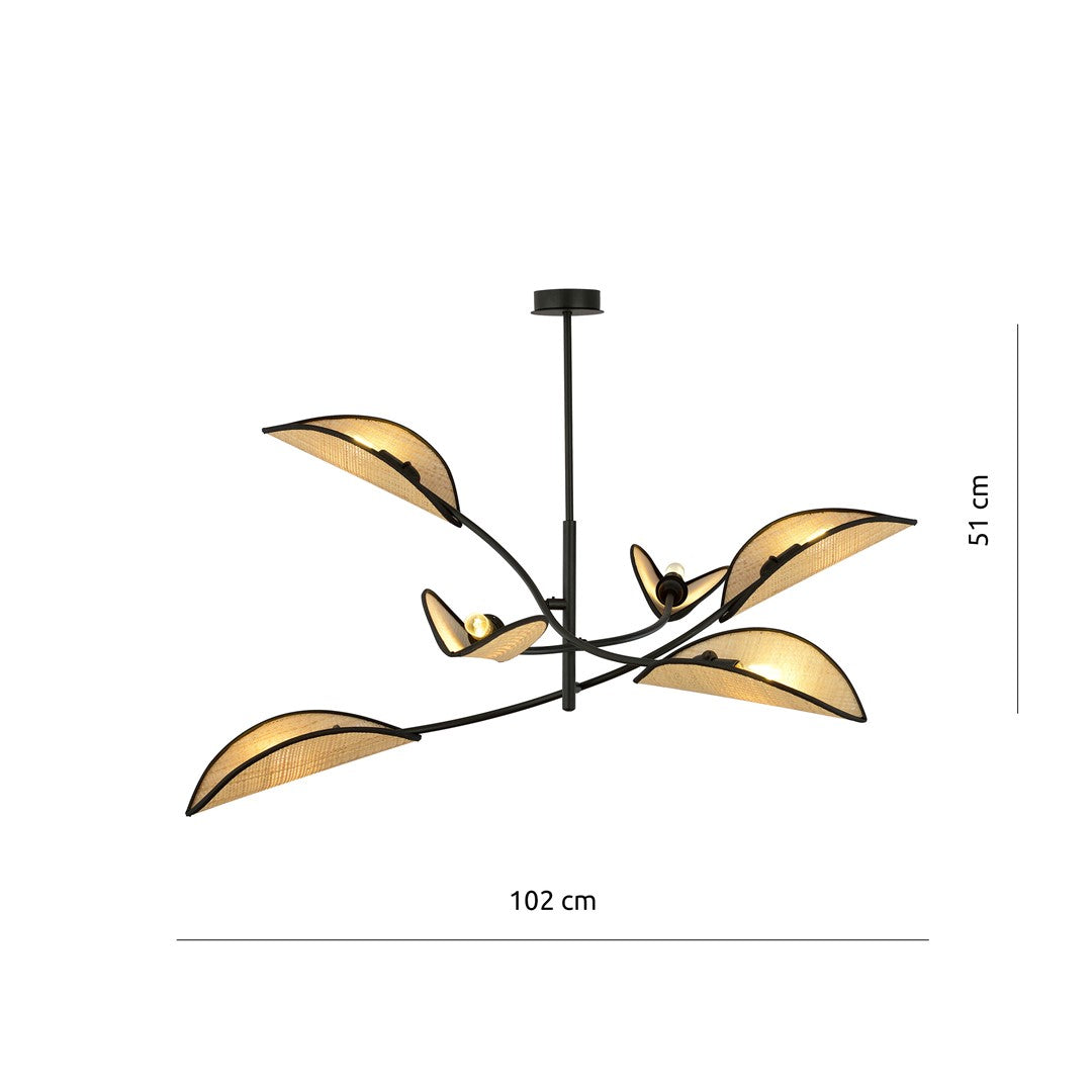 LOTUS 6 BLACK/RATTAN