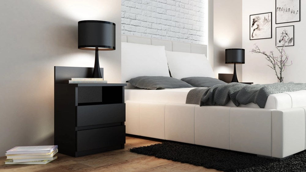Noptiera neagra Malmo