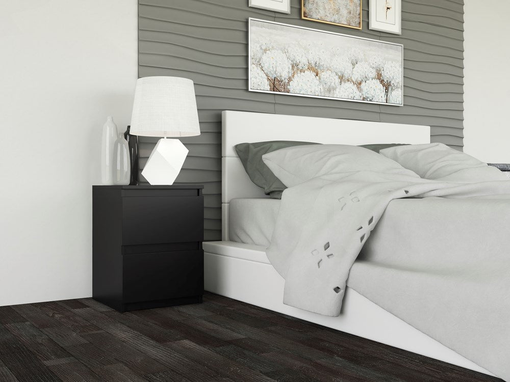 Noptiera neagra Malmo II